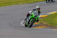 PJ-Motorsport-2019;anglesey-no-limits-trackday;anglesey-photographs;anglesey-trackday-photographs;enduro-digital-images;event-digital-images;eventdigitalimages;no-limits-trackdays;peter-wileman-photography;racing-digital-images;trac-mon;trackday-digital-images;trackday-photos;ty-croes